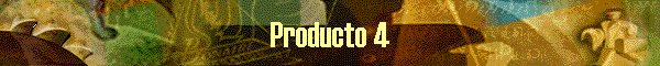 Producto 4