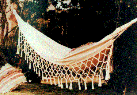 hamaca-cruda.gif (60280 bytes)